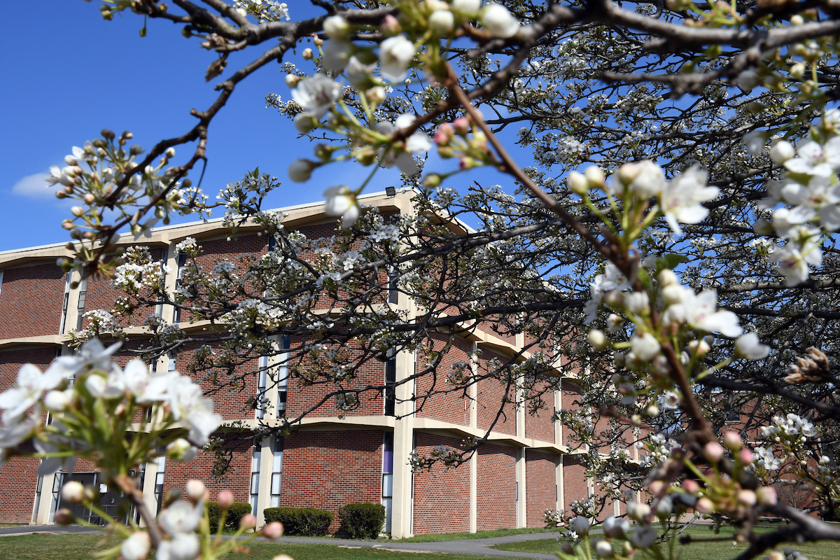 Shot of Fine Arts building through a blooming cherry blossom tree