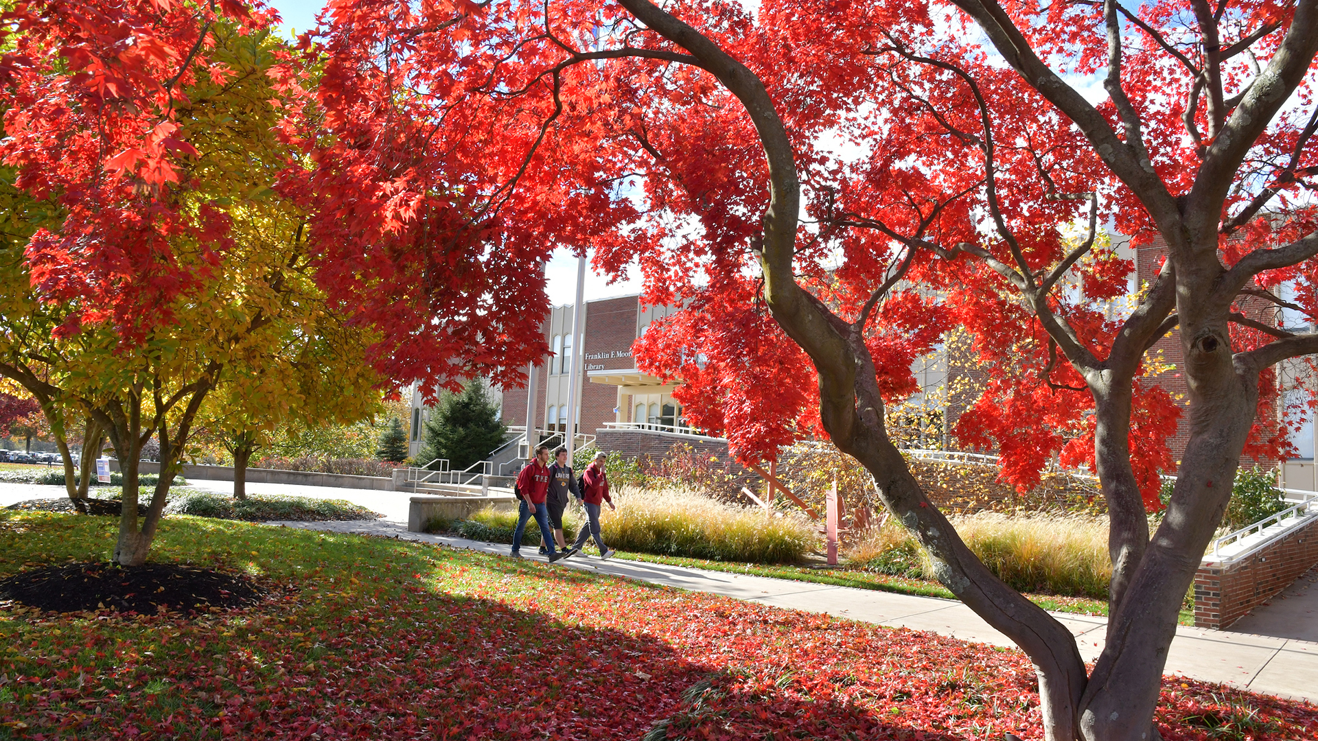 Students walk across Rider's campus in fall