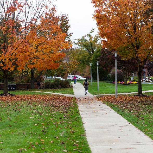 Fall leaves on Rider's campus
