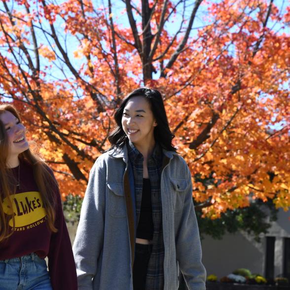 Students walking campus in the fall