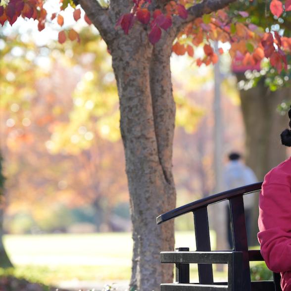 Rider student sitting on bench with laptop