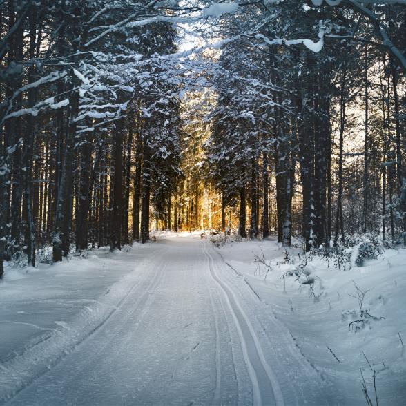 image of a winter landscape