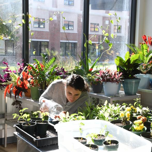 Student in greenhouse