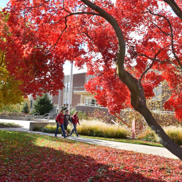 Students walk in front of Moore Library in the fall