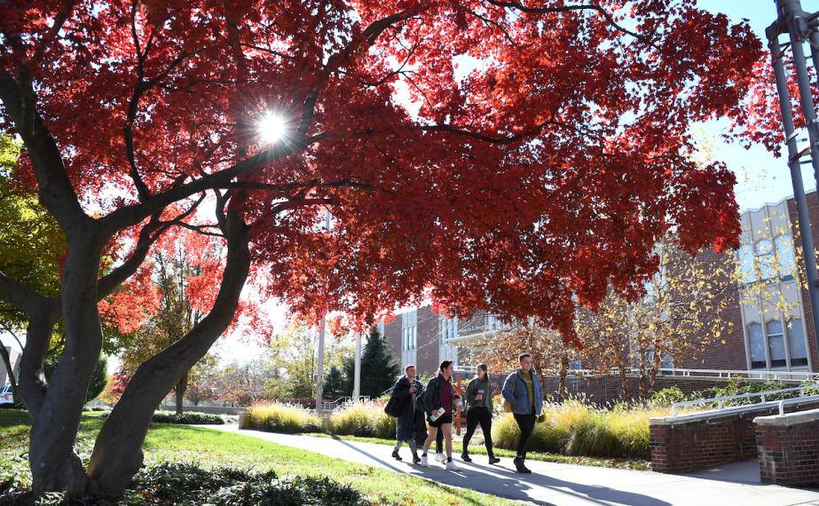 Four students walk near Moore Library in autumn
