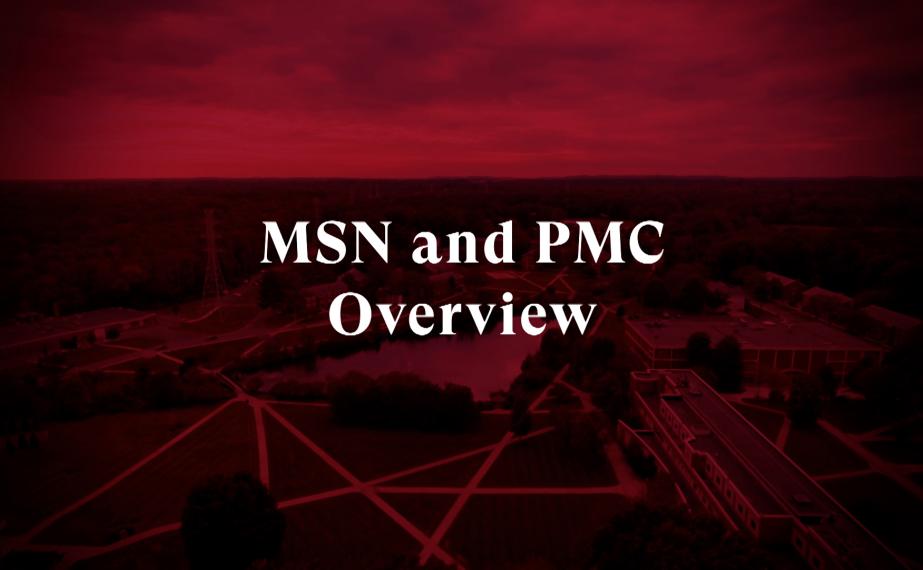 thumbnail of MSN-PMS video