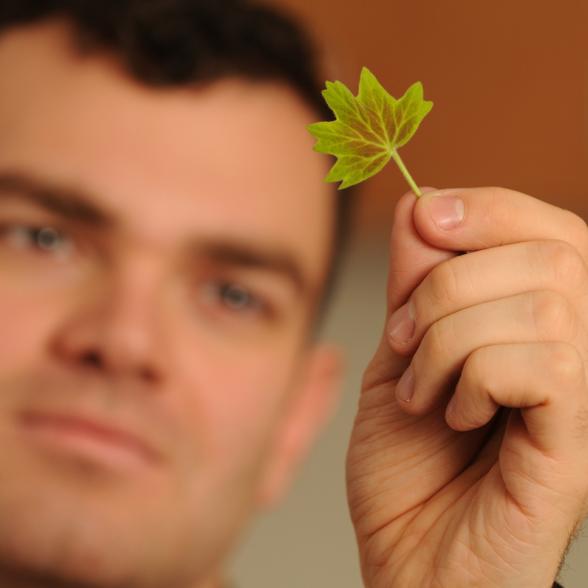 Male student holds leaf up to the light to study it