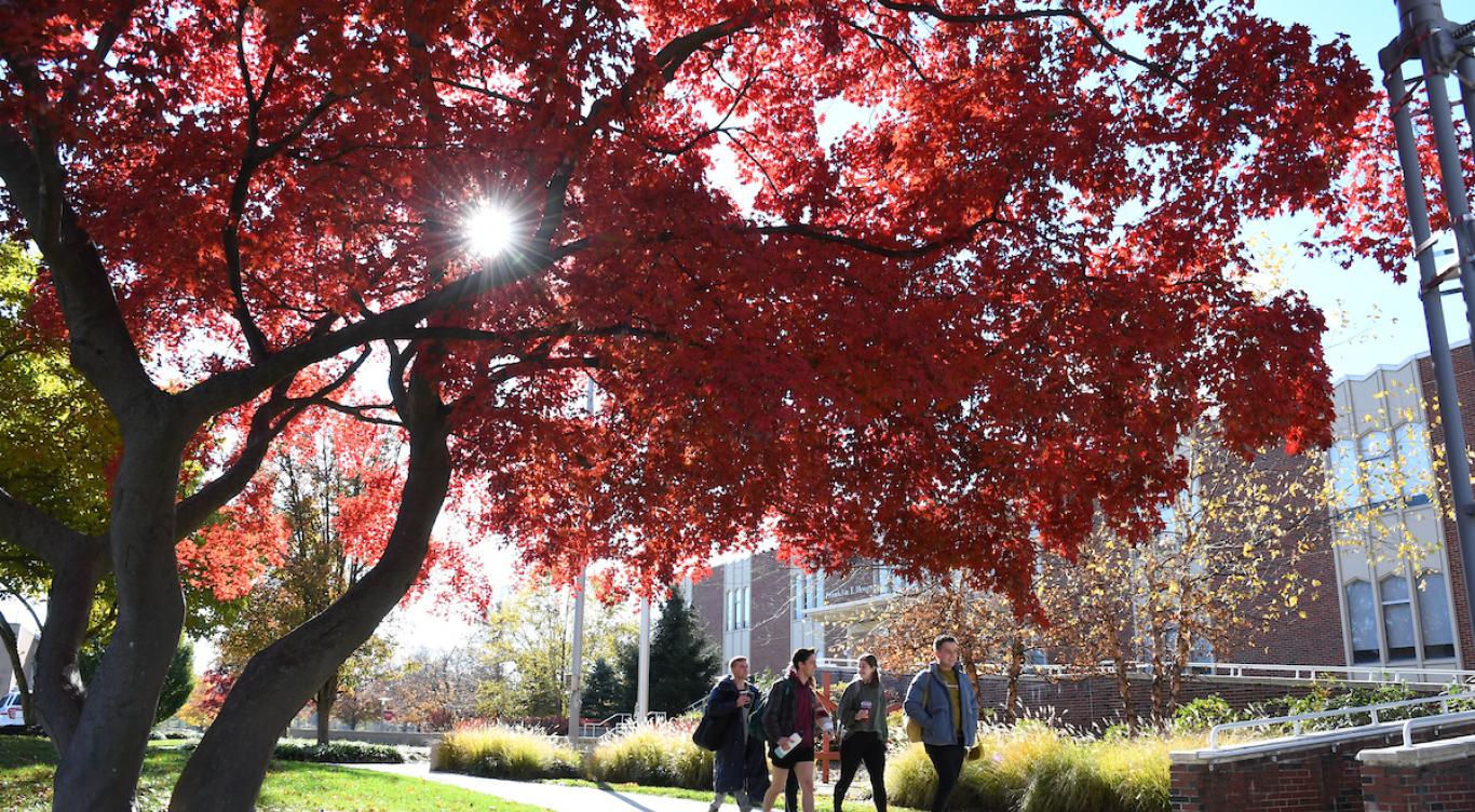 Four students walk near Moore Library in autumn