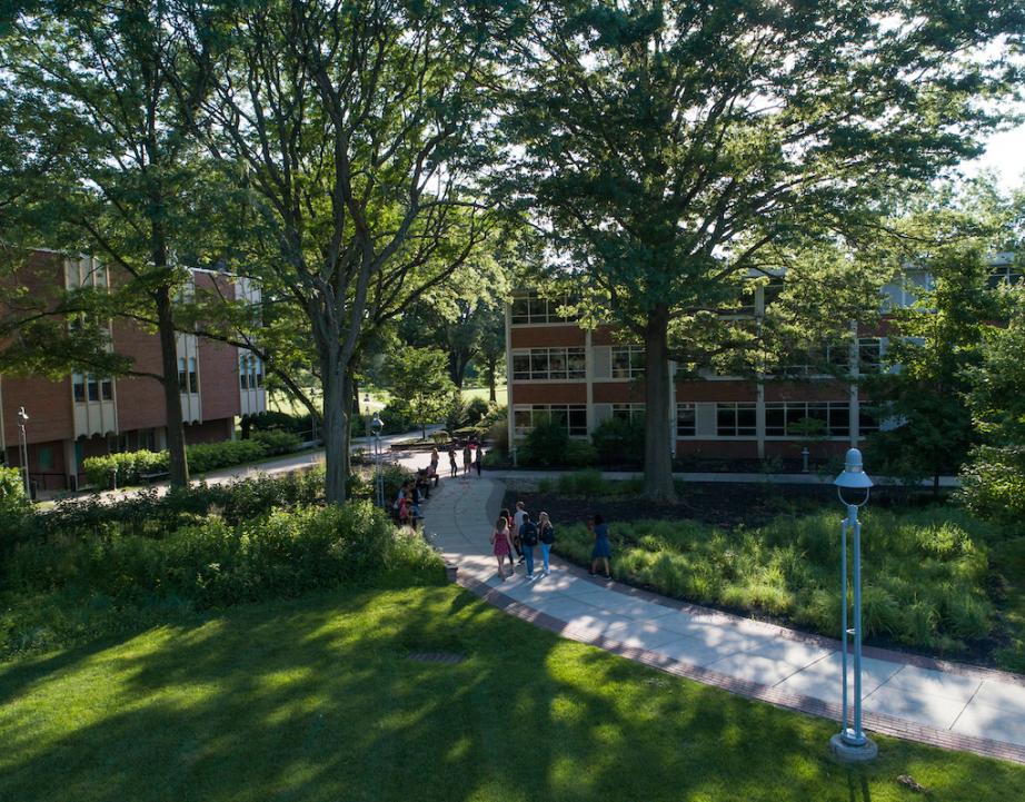 Students walk through academic quad