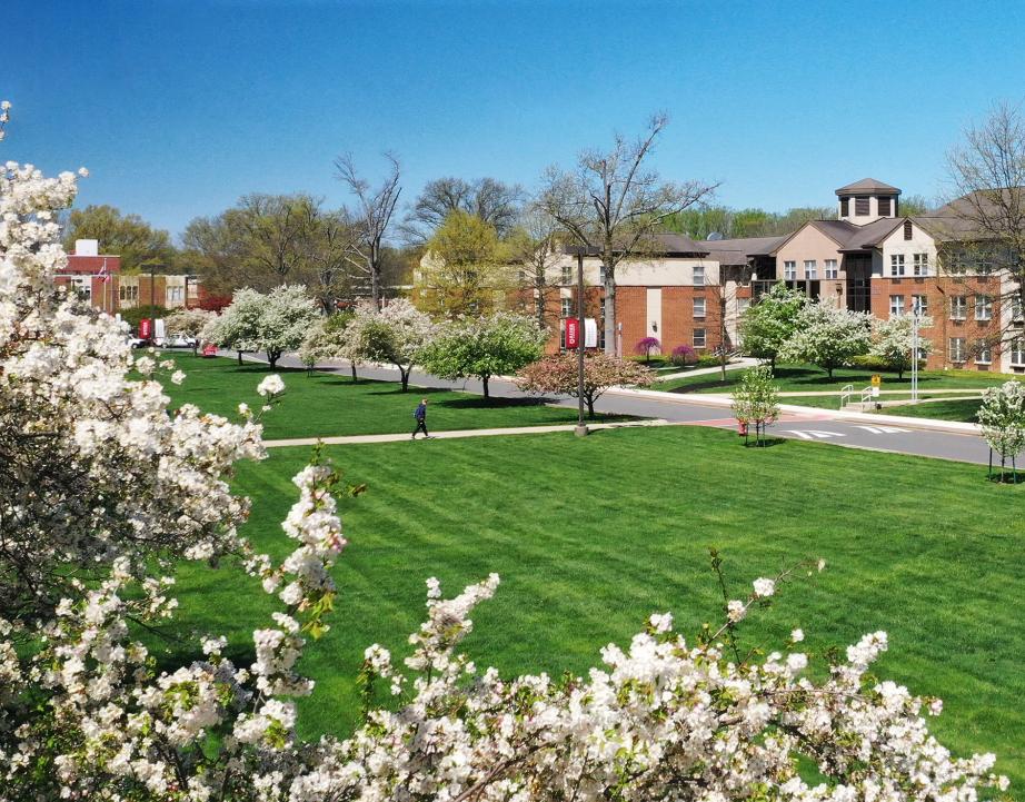 aerial shot of Rider campus mall