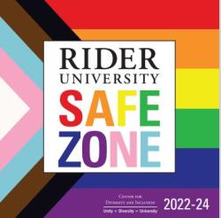 SafeZone 2022-24 Sticker