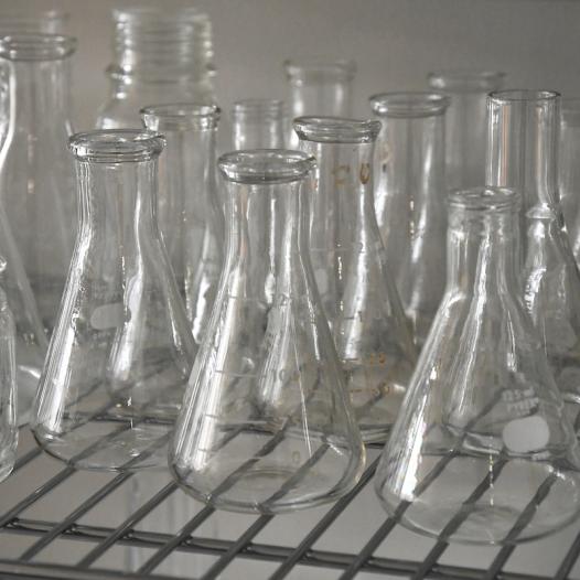 Several glass beakers